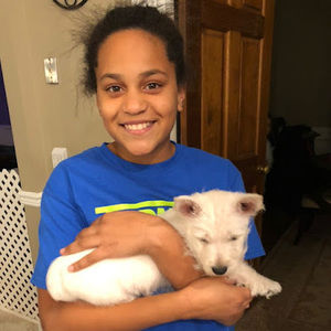 Meet your Posher, Harper